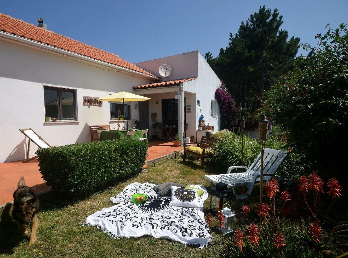 Happy Cat House - Holiday Rental サン・マルティーニョ・ド・ポルト エクステリア 写真